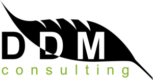 Logo DDM Consulting